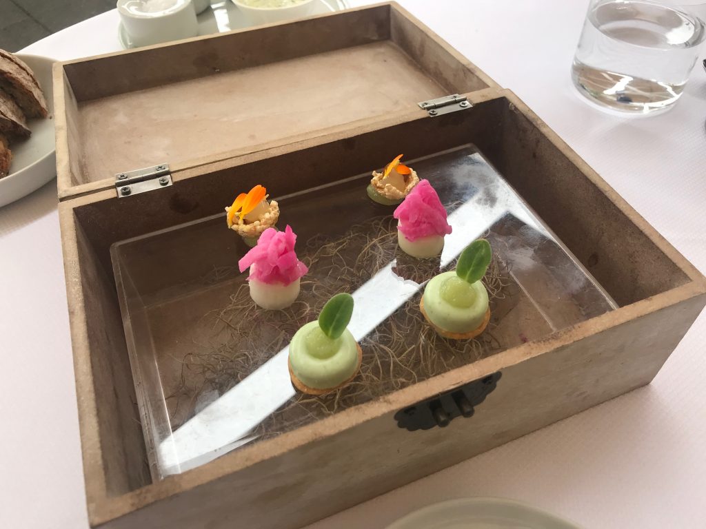 Amuse Bouches