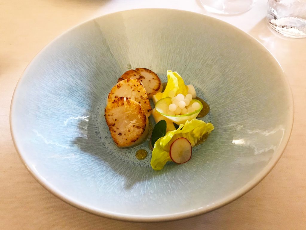 Scallops